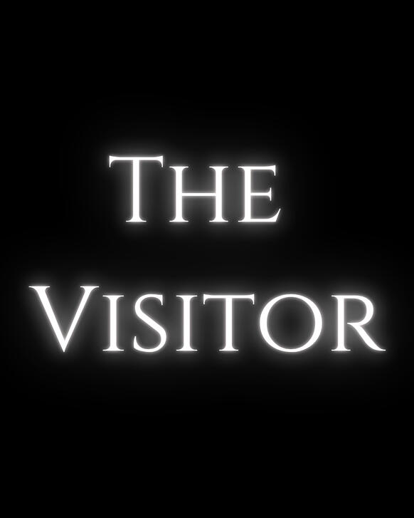 The Visitor The Visitor